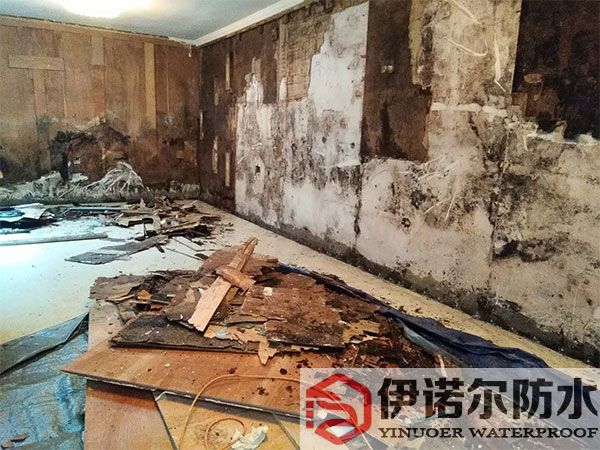 虎丘正規的地下室防水費用低